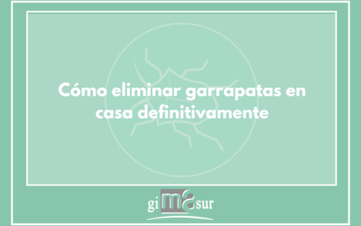 Cómo eliminar garrapatas en casa definitivamente: Guía 2026