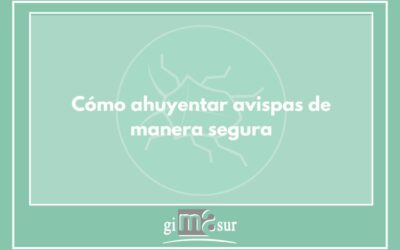 Cómo ahuyentar avispas de manera segura