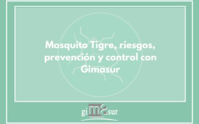 Mosquito tigre, riesgos, prevención y control con Gimasur