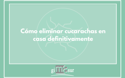 Cómo eliminar cucarachas en casa definitivamente: guía profesional 2026