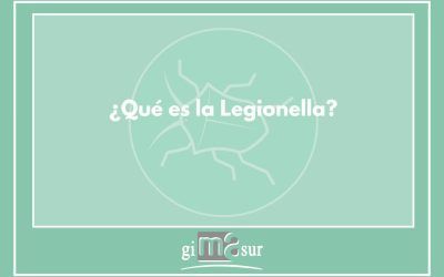 ¿Qué es la Legionella y cómo eliminarla?