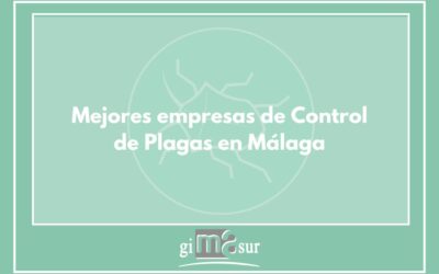 Mejores empresas de control de plagas en Málaga